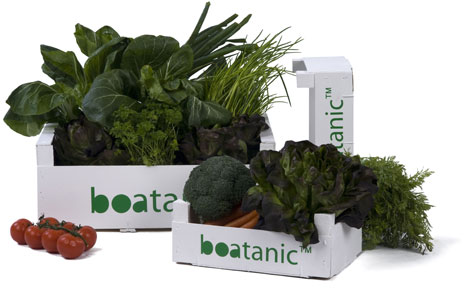 Boatanic boxes